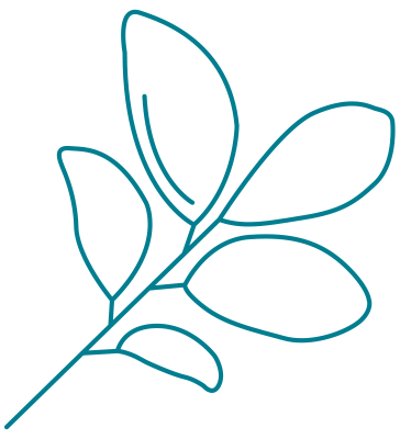 leaf icon